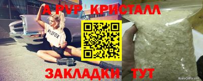 прущие грибы Гусиноозёрск
