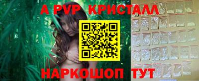 прущие грибы Гусиноозёрск