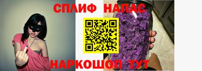 прущие грибы Гусиноозёрск