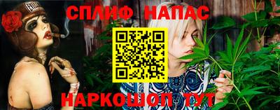 спайс Гусь-Хрустальный