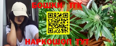 прущие грибы Гусиноозёрск